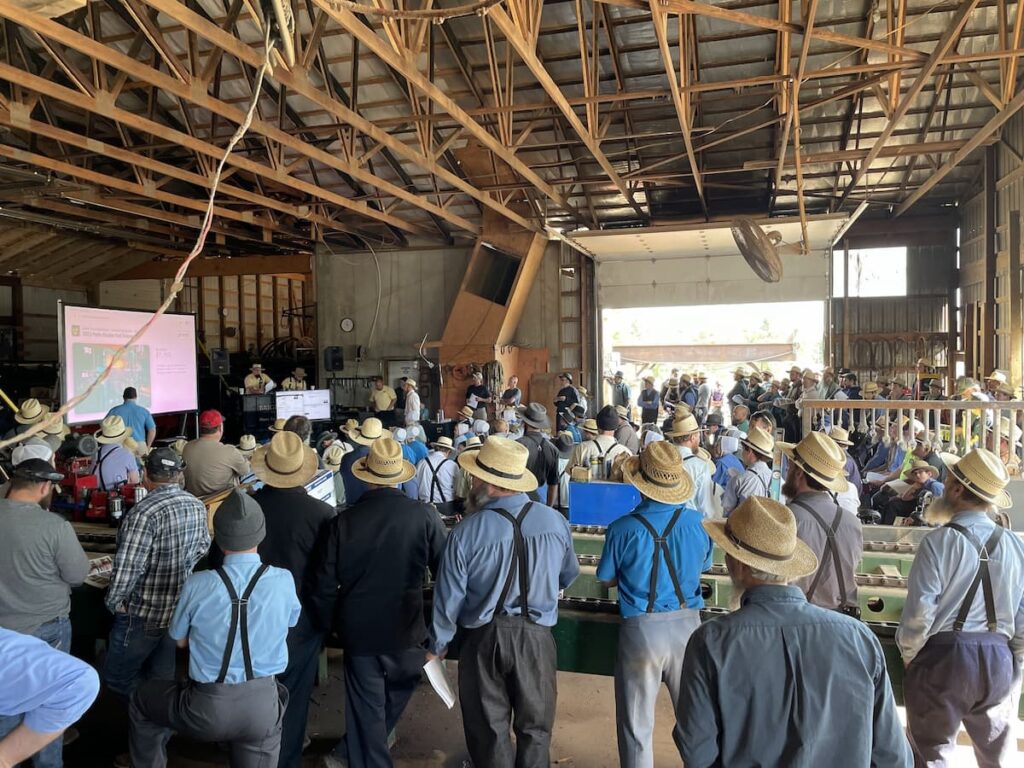 Amish in barn at auction